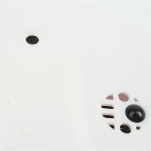 720 x 480 Remote Smoke Detector with Pinhole Camera DVR